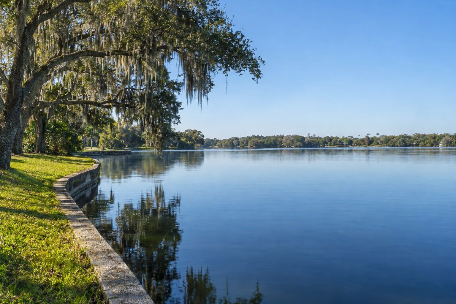 A wide calm lake under a clear blue sky, a low retaining wall and a grassy bank at the left with live oaks hung with Spanish moss